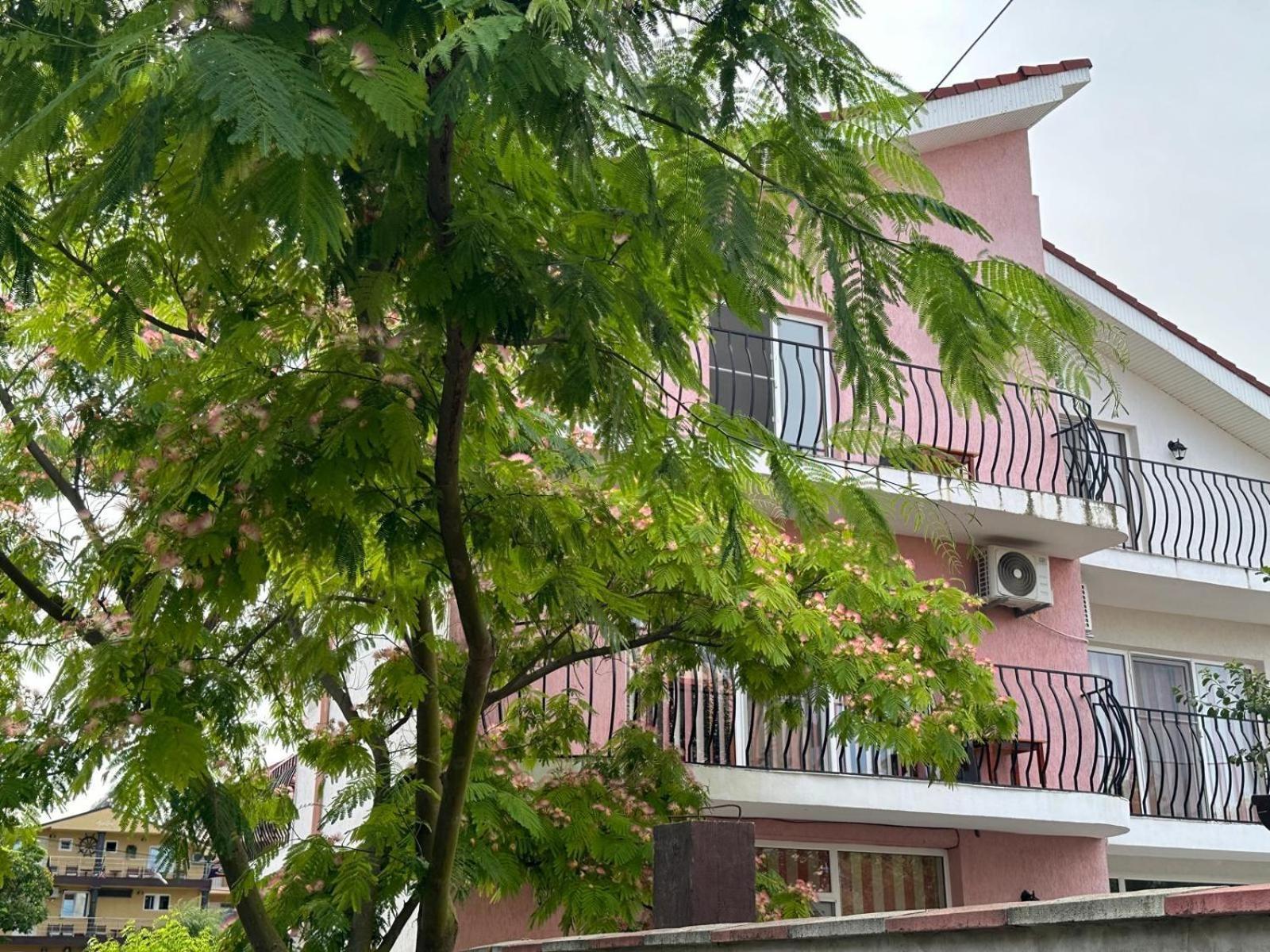 Vila Lucy Costinesti Ξενοδοχείο Εξωτερικό φωτογραφία